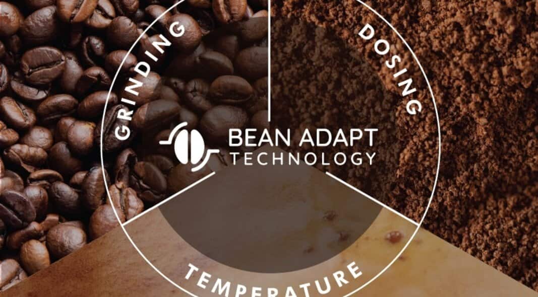 Bean Adapt Technology.