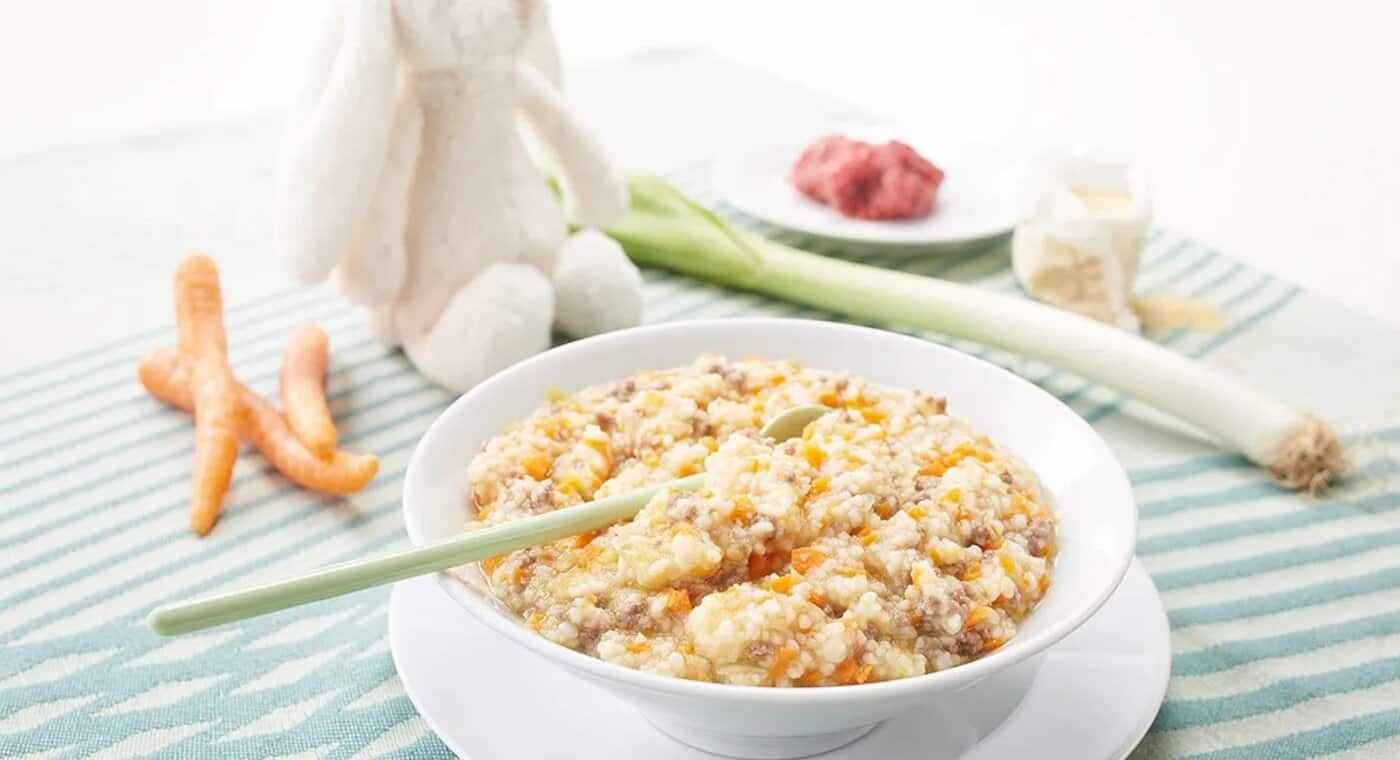 en_ADP-ImgB_braun_recipes_baby-stage-05_vegetable-couscous-with-minced-beef_1536x864_SM.png