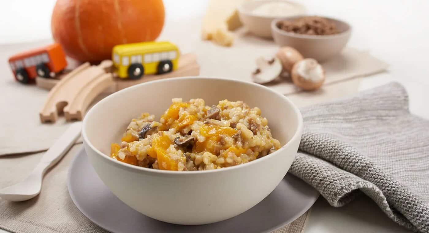 en_ADP-ImB_braun_stages-of-feeding_stage-6_beef-pumpkin-risotto_SM.png