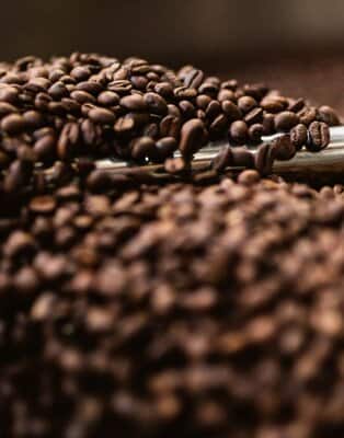 Learn everything about the coffee