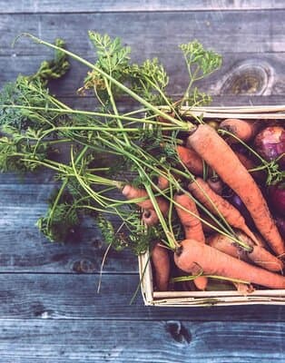 Jak nie marnować jedzenia?