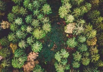 Una experiencia de café más cuidadosa.