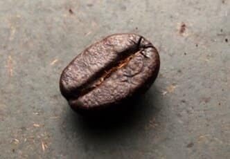 Single origin
