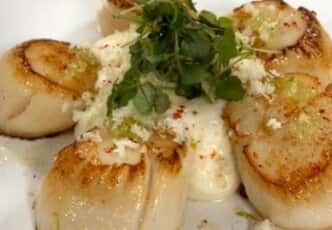 Coquilles st jacques et chou fleur