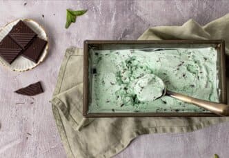 Mint Chocolate Chip Ice Cream