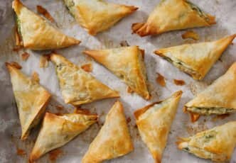 Bricks au thon et kiri