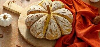 kenwood_canda_sourdough_grade_7164_1584x800.jpg
