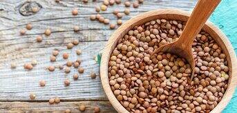 1584x1200Lentils.jpg