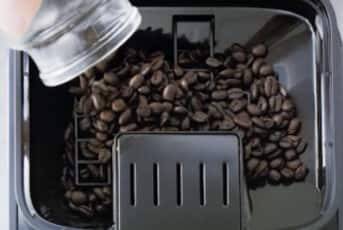 豆から挽きたて淹れたて