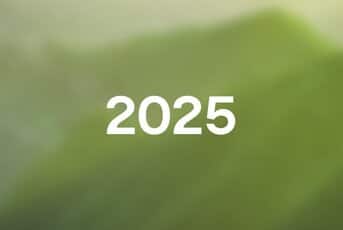 2025