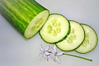 Cold Cucumber Soup