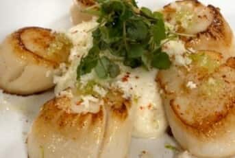 Coquilles st jacques et chou fleur