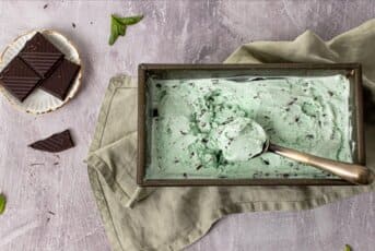 Mint Chocolate Chip Ice Cream