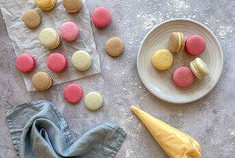 Assorted Macarons