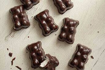 Ourson guimauve en chocolat