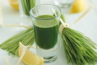 Wheatgrass Shot