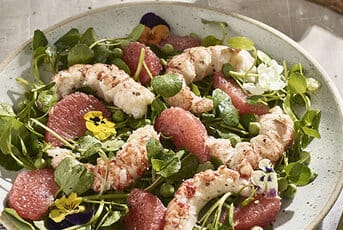 Salade de homard