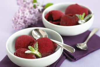 Blackcurrant Sorbet