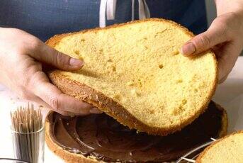 Biscuit génoise pour fond de tarte