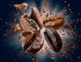 The difference is in the bean.