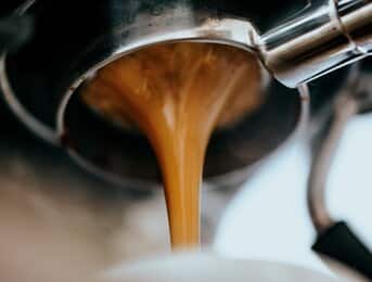 What Should You Choose: