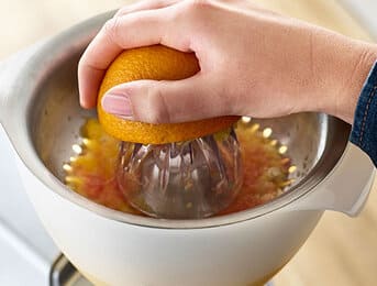 Citrus Juicer