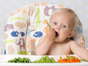 Introducing textured meals