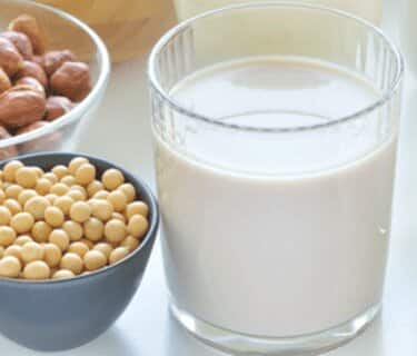 Latte vegetale artigianale