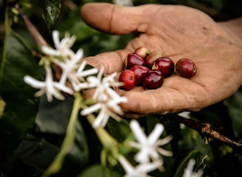 Can I Use Reusable or Eco Capsules?