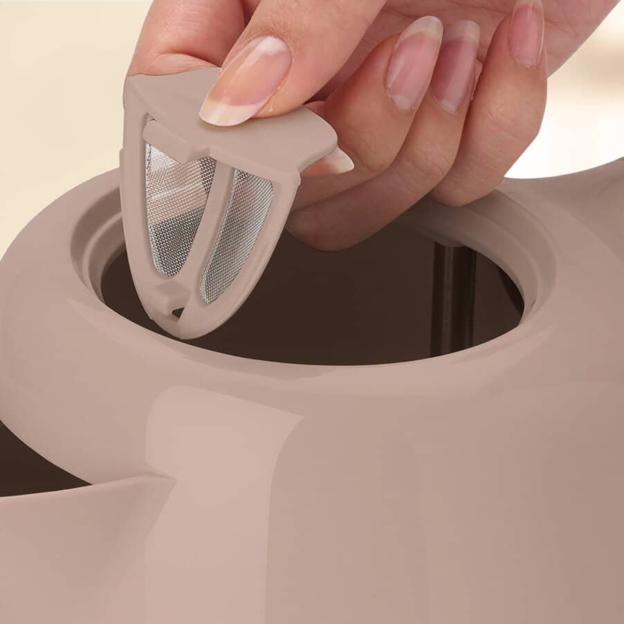 Removable mesh filter