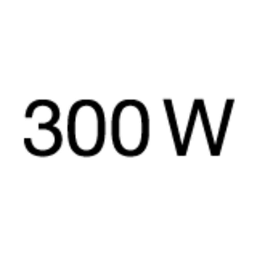 300Wパワフルモーター