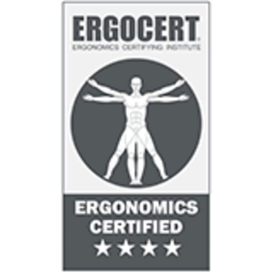 4-Sterne zertifiziertes Bügeleisen*